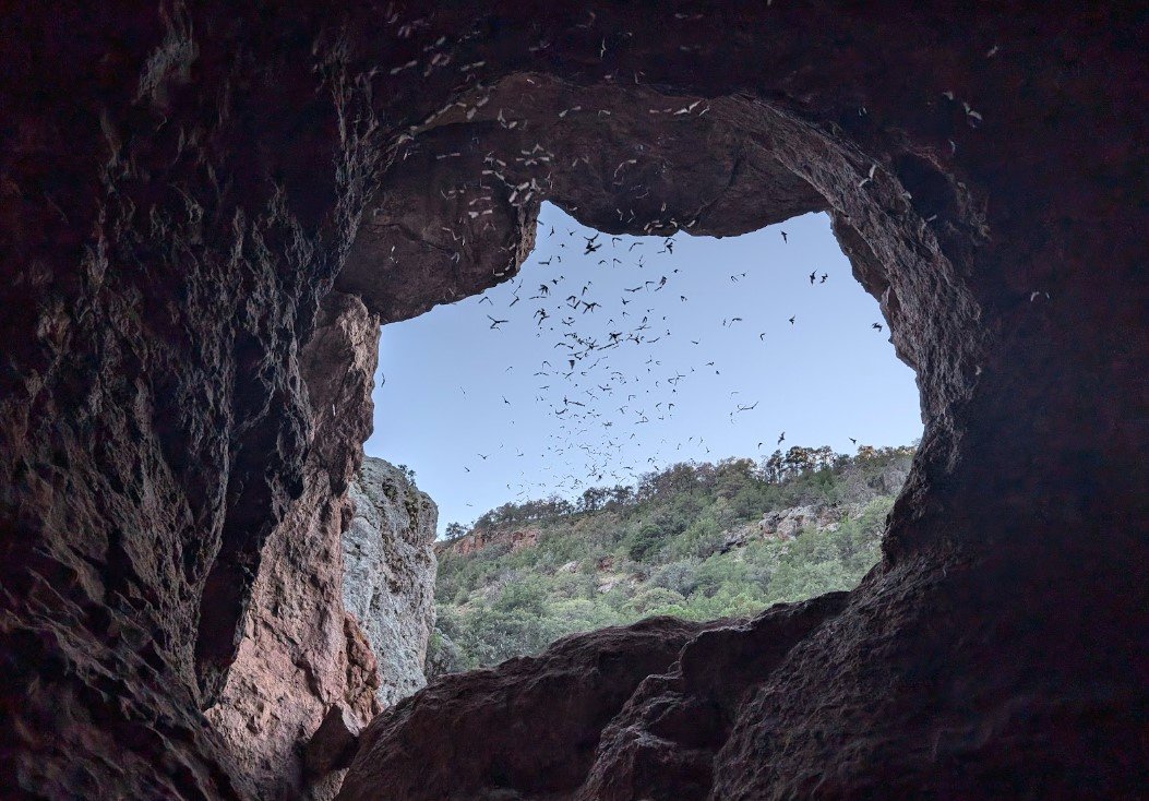 Cuevas de Los Murcielagos de La Salitrera